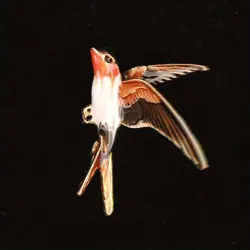 Brož Vlaštovka   – 4 × 5,2 cm