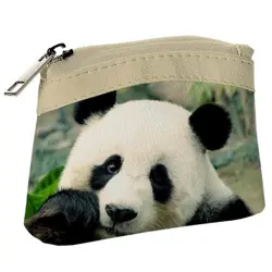 Dětská peněženka KID Panda