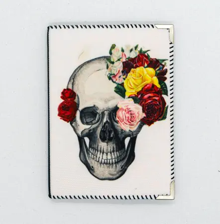 obal na cestovní pas lebka