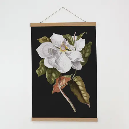 Látkový plakát na zeď Bílý květ