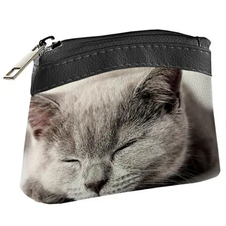 Dětská peněženka KID  Kočka