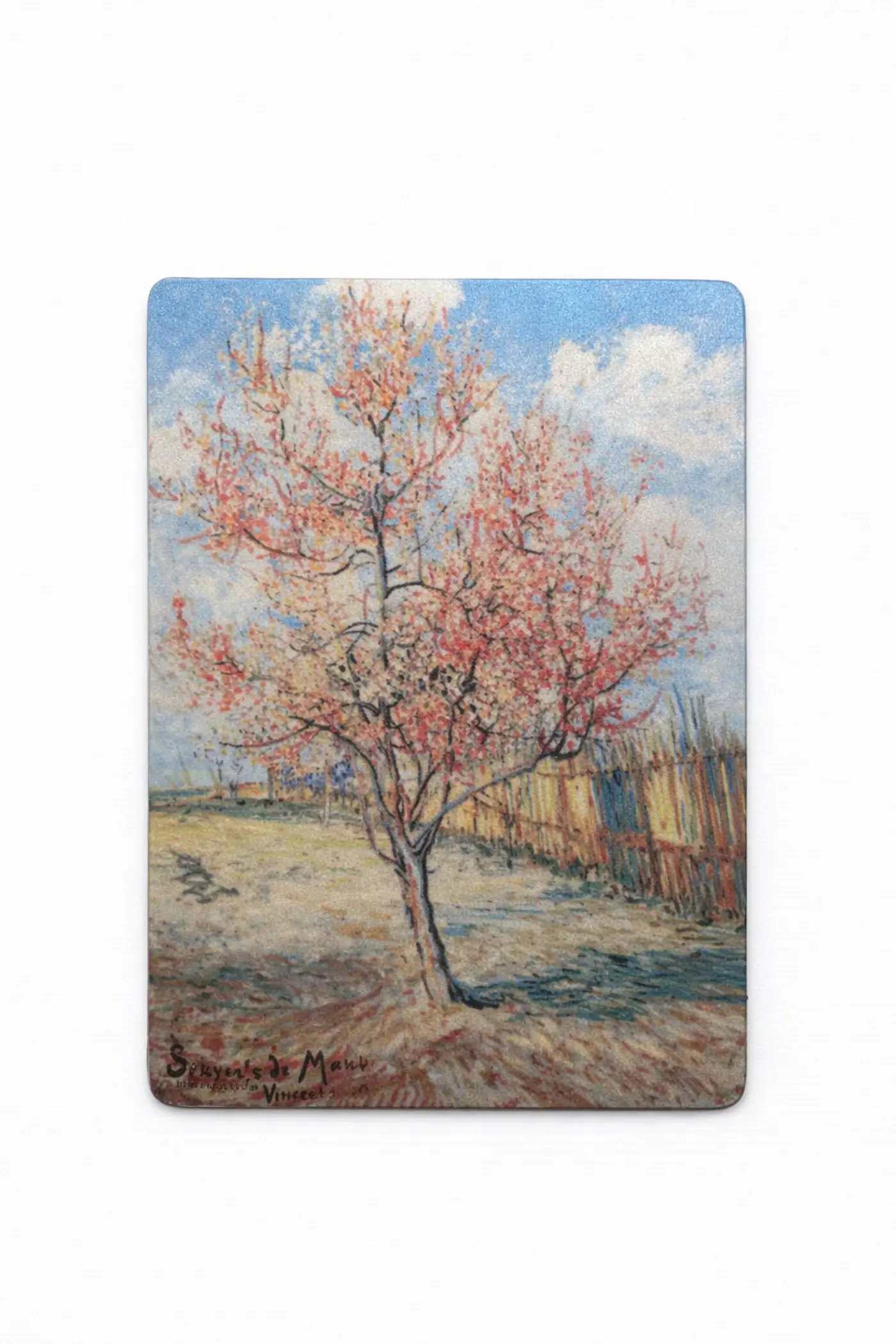 Dekorativní magnet 9 × 6 cm Kvetoucí mandloň - fotografie 1