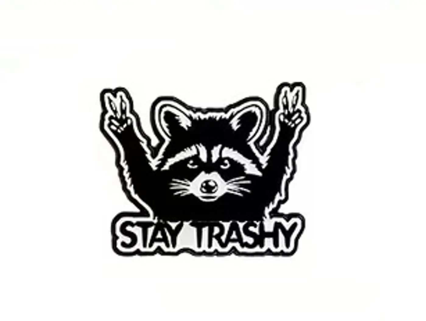 Pin – Stay trashy - fotografie 1